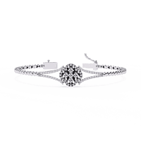 b7 b7