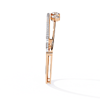 b1 b1