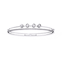 b1 b1