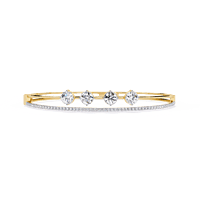 b10 b10