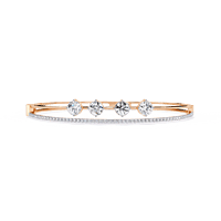 b10 b10