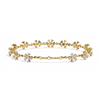 b19 b19