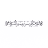 b19 b19