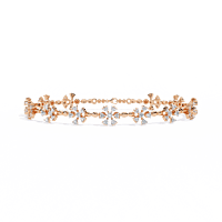 b19 b19