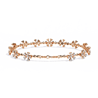 b19 b19