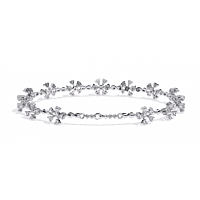 b19 b19