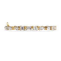 b13 b13