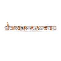 b13 b13