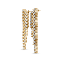 p11 p11