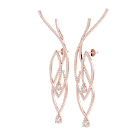 p23 p23