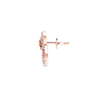 p29 p29