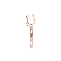 p31 p31