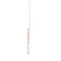 p43 p43